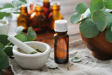 Wall Mural - Bottle of eucalyptus oil, mortar and wooden bowl of green eucalyptus leaves. Tincture and oil bottles on background, not in focus.