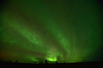 the aurora borealis, or northern lights, tint the night sky green over interior alaska.