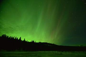 the aurora borealis, or northern lights, tint the night sky green over interior alaska.