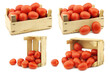 fresh and colorful italian roma tomatoes in a wooden crate on a white background