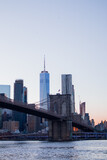 Fototapeta Miasta - View on downtown Manhattan from Dumbo Brooklyn