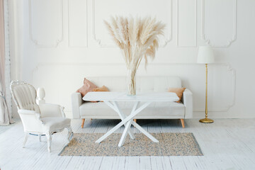 Stylish Scandinavian modern white cozy eco interior in minimalist style. Modern home decor with Pampas grass in vase. Open space. Monochrome, copy space