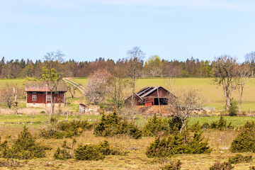 Wall Mural - Old abandoned farm in the country