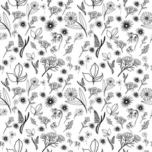 Seamless Pattern With Black White Small Flowers. Daisies, Roses, Cornflowers And Other Wild Flowers