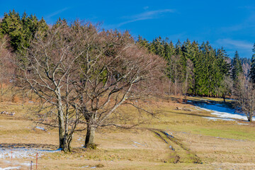 Spring Walk through the beautiful nature around of Schmalkalden - Thuringia - Germany