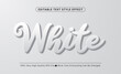 3d White Embossed Vector text style effect, Editable Text Effect