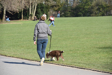 Canvas Print - promeneur balade chemin sentier nature detente marche vert chien