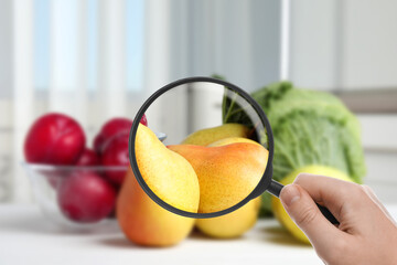 Wall Mural - woman with magnifying glass exploring fruits, closeup. poison detection