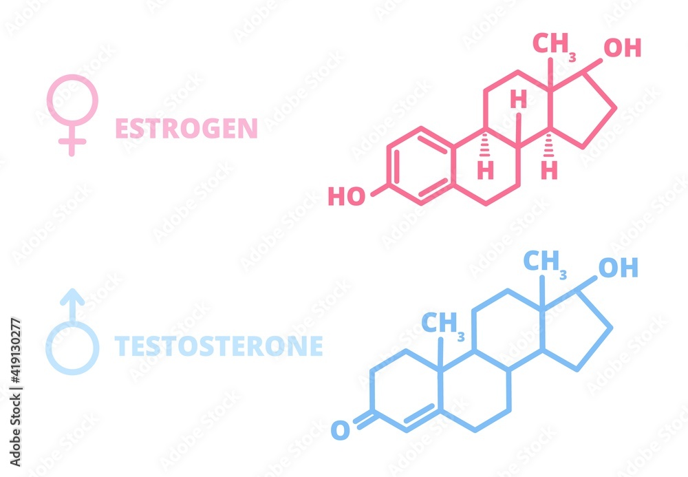 Stock-Vektorgrafik „Sex hormones. Laboratory symbol, hormone estrogen ...