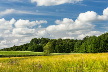 green field and blue sky with clouds