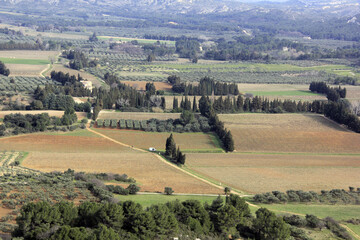 Sticker - paysage agricole