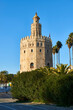 Torre del Oro (Golden Tower), Sevilla, Andalusia, Spain, Europe.