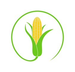 Sticker - Corn logo. Isolated corn on white background