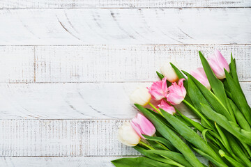 Tulip flowers pink and white bouquet on front of white background. Greeting card. With copy space.