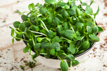 Organic raw green food. Different types of micro green dill sprouts. Vegan salad from microgreens.