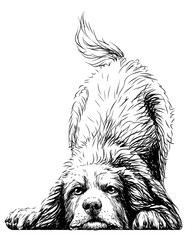 Wall Mural - playing dog. wall sticker. graphic, black-and-white, sketch portrait of a bernese mountain dog puppy