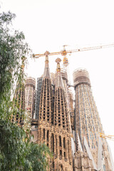 Sticker - Basilica of the Sagrada Familia in Barcelona, Spain. Tourism in Spain. Barcelona architecture.