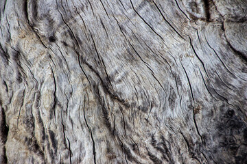 old wood texture