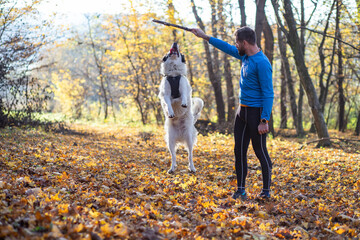 Poster - happy dog and man playing in autumn forest