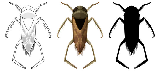 Sticker - Set of backswimmer beetle in three style