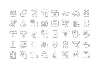 Wall Mural - set of linear icons of pregnancy