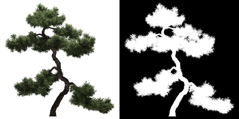Wall Mural - Front view of tree (Filifera Aureai) png with alpha channel to cutout 3D rendering