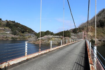 Poster - 奈良県　月ヶ瀬梅林