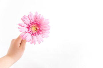 花のプレゼント　花を渡す子供の手