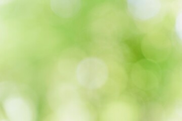 green bokeh background,abstract blur green color for background,blurred and defocused effect spring concept for design,nature view of blurred greenery background in garden using as background natural,