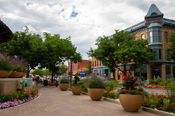 Wall Mural - Downtown_Fort Collins Colorado