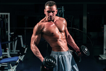  Gym. Bodybuilding. Training and workouts. Dumbbells exercises. Male torso with six packs. Sportsman with naked body.