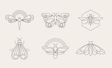 Bohemian Linear Logos, Icons And Symbols, Insect, Butterfly, Dragonfly And Moth Design Templates, Geometric Abstract Design Elements For Decoration. 