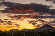 © Vladimir Muravin - Vineyard at sunset