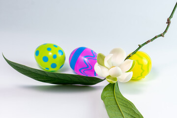 Wall Mural - White magnolia flower (Magnolia grandiflora) and colors of easter eggs on white background.