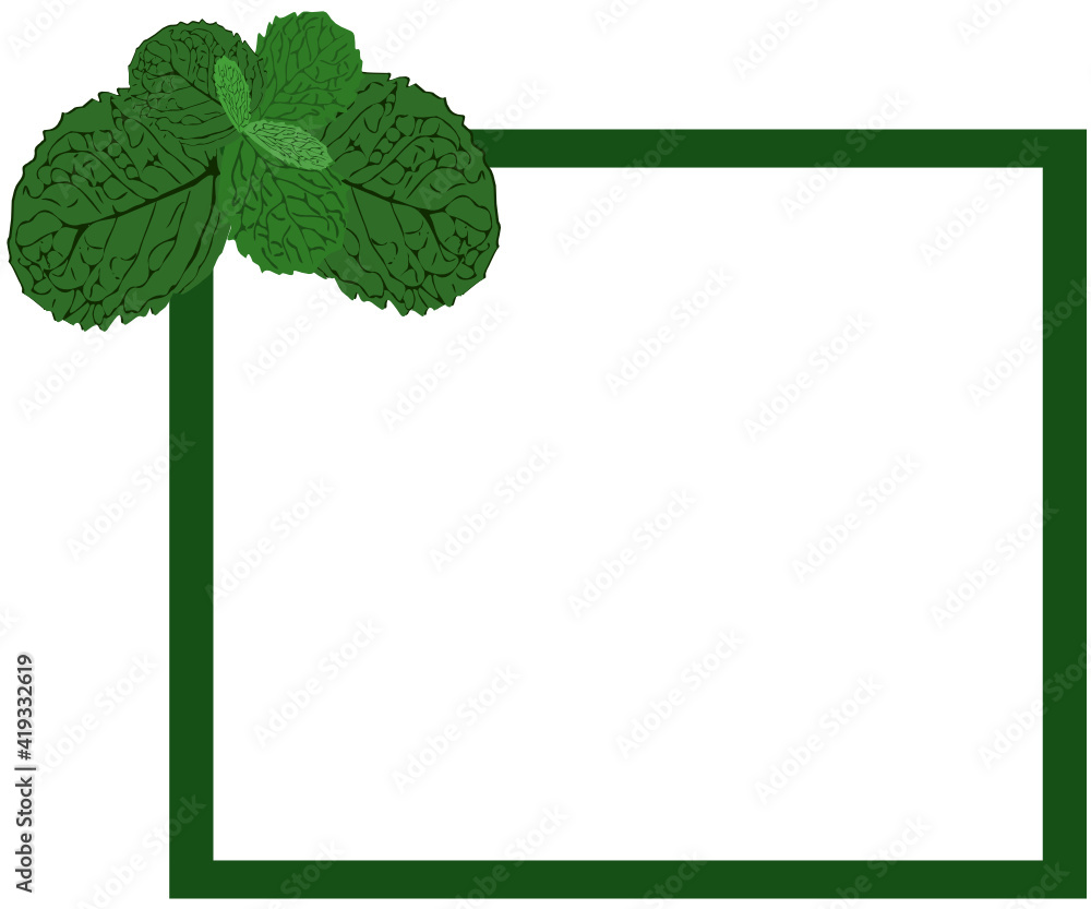 Rectangular Peppermint frame, peppermint with various colored leaves, vector frames decorated ...