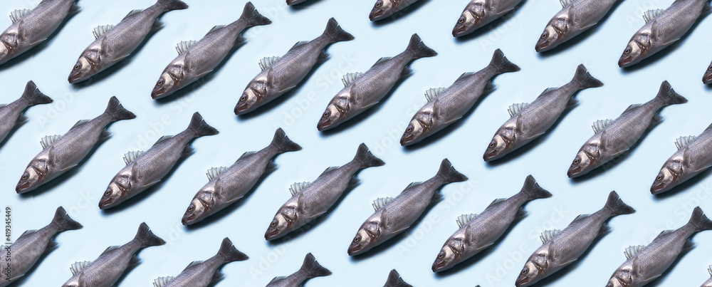 Fotografia sea bass fish pattern over blue background, panoramic image