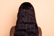 © deagreez - Back photo of natural perfect brunette lady with long silky smooth hairstyle isolated beige background
