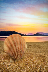 Poster - Sunset Seashell on the beach