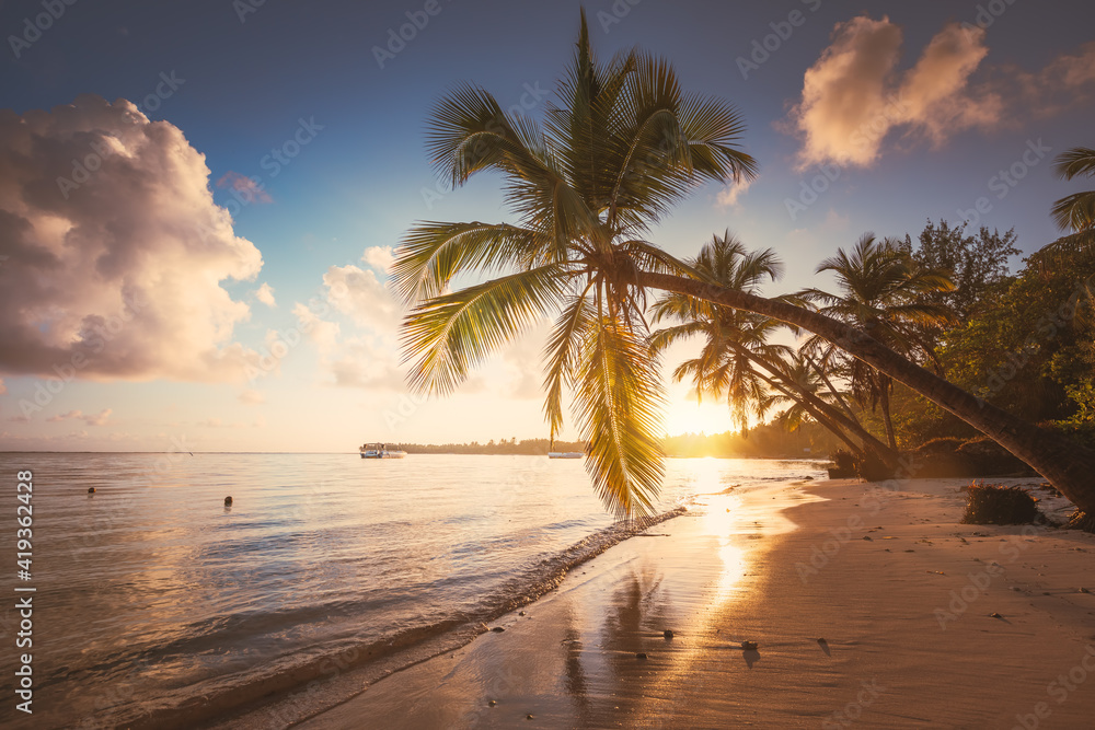 Landscape of paradise tropical island beach, sunrise shot - obrazy, fototapety, plakaty 