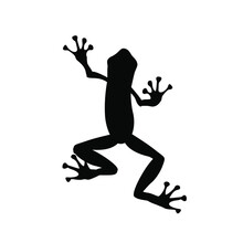  Frog Vector Silhouette Isolated Black On White