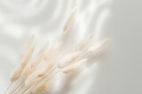 Fototapeta Boho - Brown bunny tail grass on grey background, copy space, dried lagurus grass
