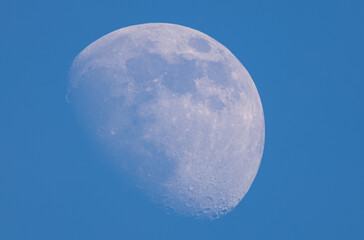 Wall Mural - June moon
