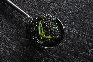 Wall Mural - Black fish caviar with rosemary branch