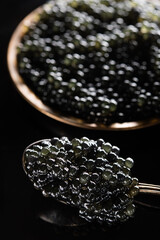 Wall Mural - Black beluga caviar on a spoon