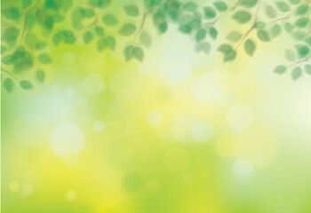 Wall Mural - vector green, bokeh, nature background. green leaves border. blurred effect.
