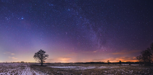 Wall Mural - Landscape of zodiacal light with stars and a tree