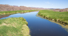 Bill Williams River National Wildlife Refuge, Oasis In The Mojave Desert, Arizona, USA