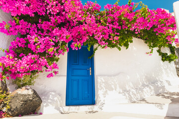 White architecture on Santorini island, Greece. Blue door and pink flowers on the facade