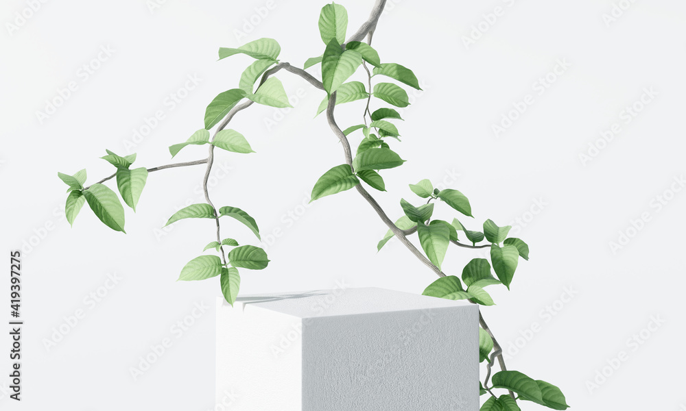 White product display podium with nature leaves and branches. 3D rendering - obrazy, fototapety, plakaty 