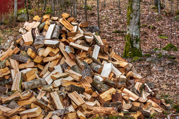 stack of firewood